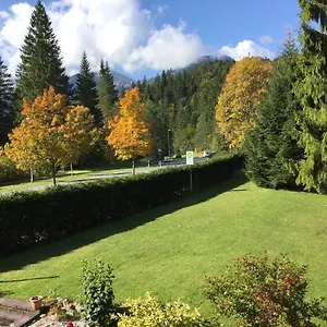 https://alpine-blue-apartments.com-bavaria.com